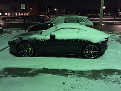 My Winter Rat-img_2477.jpg