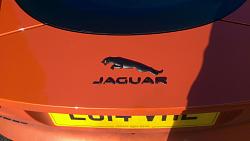 Blacked out badges-imag1312%5B1%5D.jpg