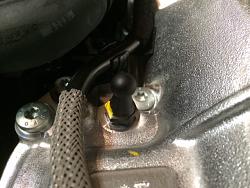 First F-Type Oil Change @ 1500 miles--Lessons Learned-cover-5.jpg