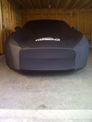 Custom F-Type Performance Seat Covers-cover-1.jpg