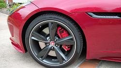 Official Jaguar F-Type Picture Post Thread-jagcat-004.jpg