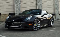 F-Type Look-a-Likes-1.jpg