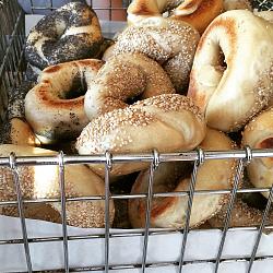 2016 Jaguar Lobster Run-union-bagel.jpg