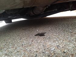Water leaking from exhaust pipe on engine side of muffler-water1.jpg