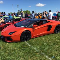 Cars 4 Critters Hershey PA--This Saturday 4/23-hershey4.jpg