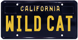 Vanity plates-screen-shot-2016-07-02-11.15.45-am.png