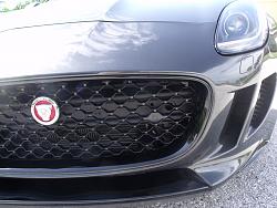 P 7 Bumper-less Grille Installed-2050_12310007.jpg