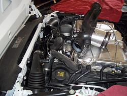 2014 F-Type S 3.0L fitted with Eurotoys power package-100_2856.jpg