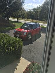 Please Welcome A New "Brit" To My Family!-img_4078.jpg
