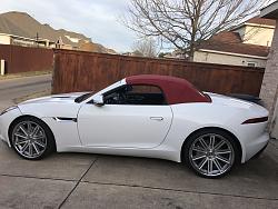 Need opinions please-img_0550.jpg