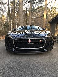 Stratus Grey Official Thread-image.jpeg