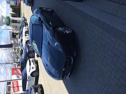 Finally the cat arrived at the dealer-img_0870.jpg