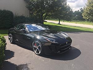 Paint Correction/Paint Coating-detail3.jpg