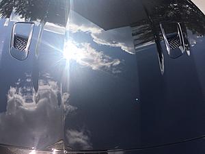 Paint Correction/Paint Coating-detail16.jpg