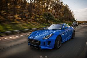 Red or Blue, which looks the best-4f7a32bc-565e-48fc-a6fd-aa7036420313.jpeg
