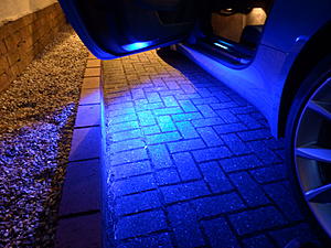Red or Blue, which looks the best-p7310040.jpg
