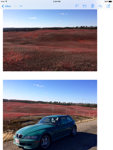 2018 Jaguar Wild Blueberry Bash-img_0721.png