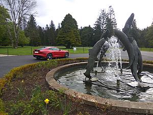 You can never have enough pictures of your F-type-img_20180507_082934.jpg