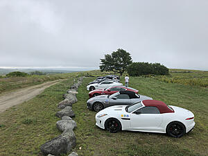 F-Type Picture Game-photo318.jpg