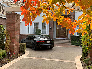 Official Jaguar F-Type Picture Post Thread-v3hsvvt.jpg