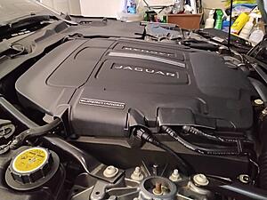V6 &amp; V8 Injector Savers Is Being Released To Protect Injectors Under Bonnet-incar2.jpg