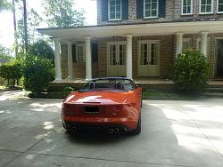 Some pics of our F Type-017.jpg