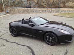 Official Jaguar F-Type Picture Post Thread-jag3.jpg