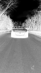 Pics- Messing around with my camera yesterday-jaguar2-030.jpg