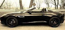 Pics- Messing around with my camera yesterday-jaguar2-023.jpg