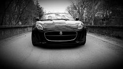Pics- Messing around with my camera yesterday-jaguar2-026.jpg