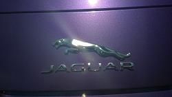 Official Jaguar F-Type Picture Post Thread-wp_20140715_14_06_59_pro.jpg