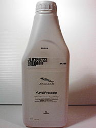 Jaguar Antifreeze-antifreeze-1.jpg