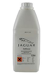 Jaguar Antifreeze-jaguar-antifreeze.jpg