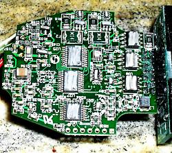 Mongoosers are Mongeese???-side1.jpg