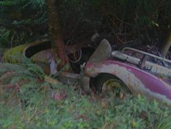 Help Identify this Jag(?)-mms95pictur.jpg