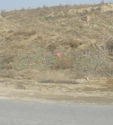 Deployed Members-afghan-183a.jpg