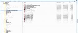 Problems with MediaFire file downloads ??-mediafire-ids-sdd.jpg