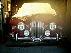 Where does the 420 belong?-daimler-grille-s-type.jpg