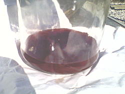 Transmission Fluid Drained - What Do You See? ( Pics )-059.jpg