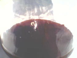 Transmission Fluid Drained - What Do You See? ( Pics )-060.jpg