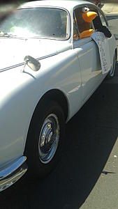 Me &amp; My PitCrew Give Thanks -> PICS!-20170825_121916.jpg