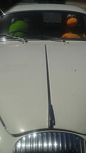Me &amp; My PitCrew Give Thanks -> PICS!-20170825_122108.jpg