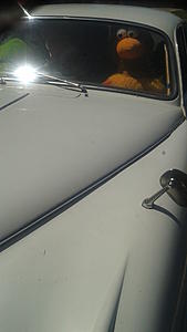 Me &amp; My PitCrew Give Thanks -> PICS!-20170825_122129.jpg