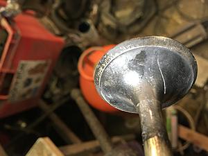 Got the head off.-img_2510.jpg