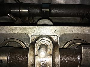 Got the head off.-img_2634.jpg