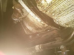 Got the head off.-img_2737.jpg