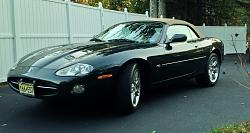new member-jag-nov-2014.jpg