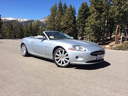 New XK Lover-image.jpg