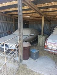 New Member from Austin,TX-20130629_102052.jpg