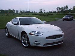 New addition to family soon....-2011_0607pic0011.jpg